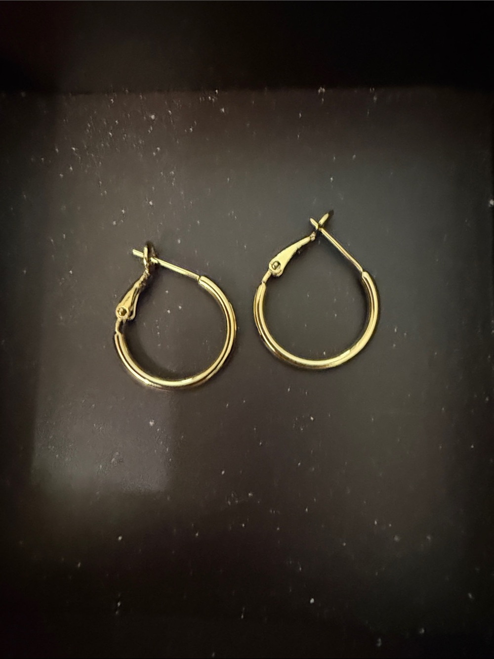 NWOT 14k gold plated hoop earrings